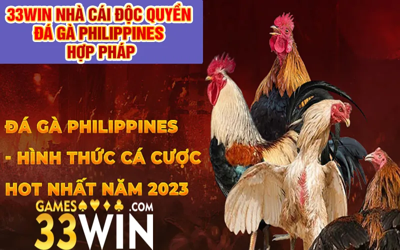 33Win nhà cái độc quyền đá gà Philippines uy tín hợp pháp