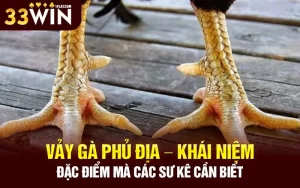 Vảy gà phủ địa – Khái niệm, đặc điểm mà các sư kê cần biết